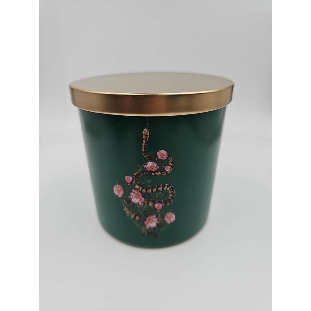 Ashland 2 Wick Candle Green Snake Fresh‎ Air Scent Halloween Goth